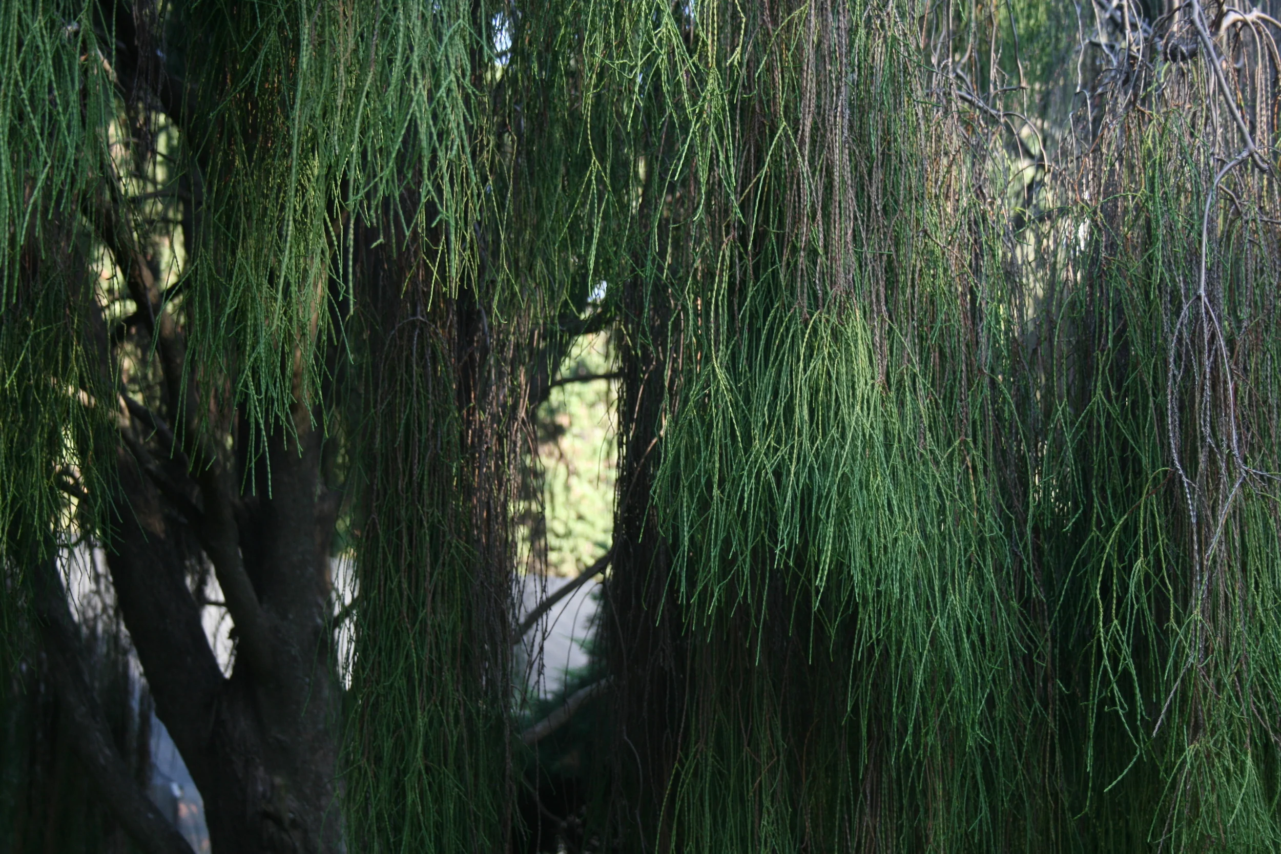 Buenos Aires, Argentina 2012