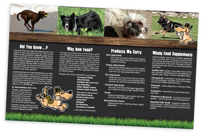 AntCreationsHealthyMuttLeaflet02.jpg