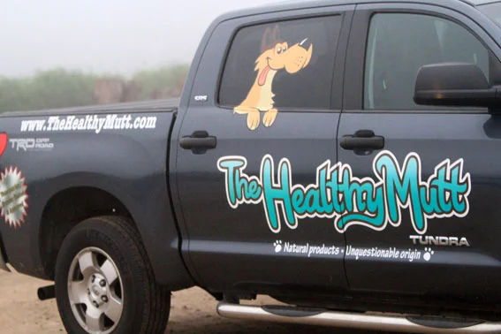 AntCreationsHealthyMuttVeh.jpg