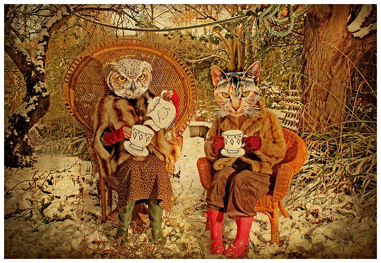 Owl and Pussy Cat 2012