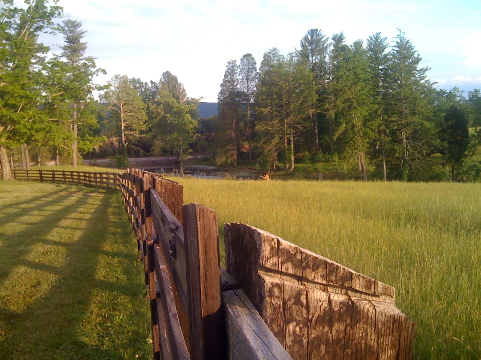 The Uncommon Wealth of Virginia