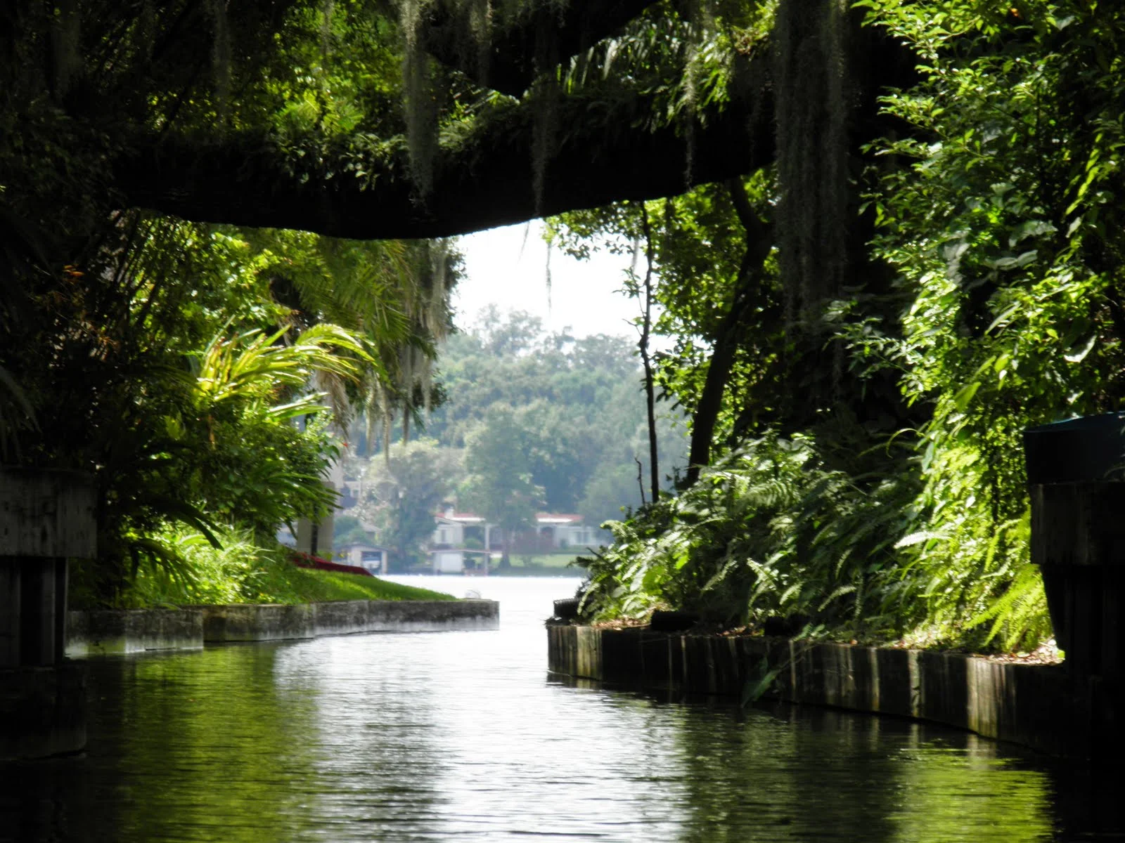 Mapping Orlando City Parks