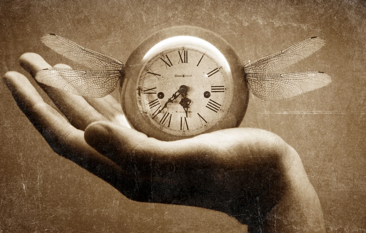 Time Walks Casually
