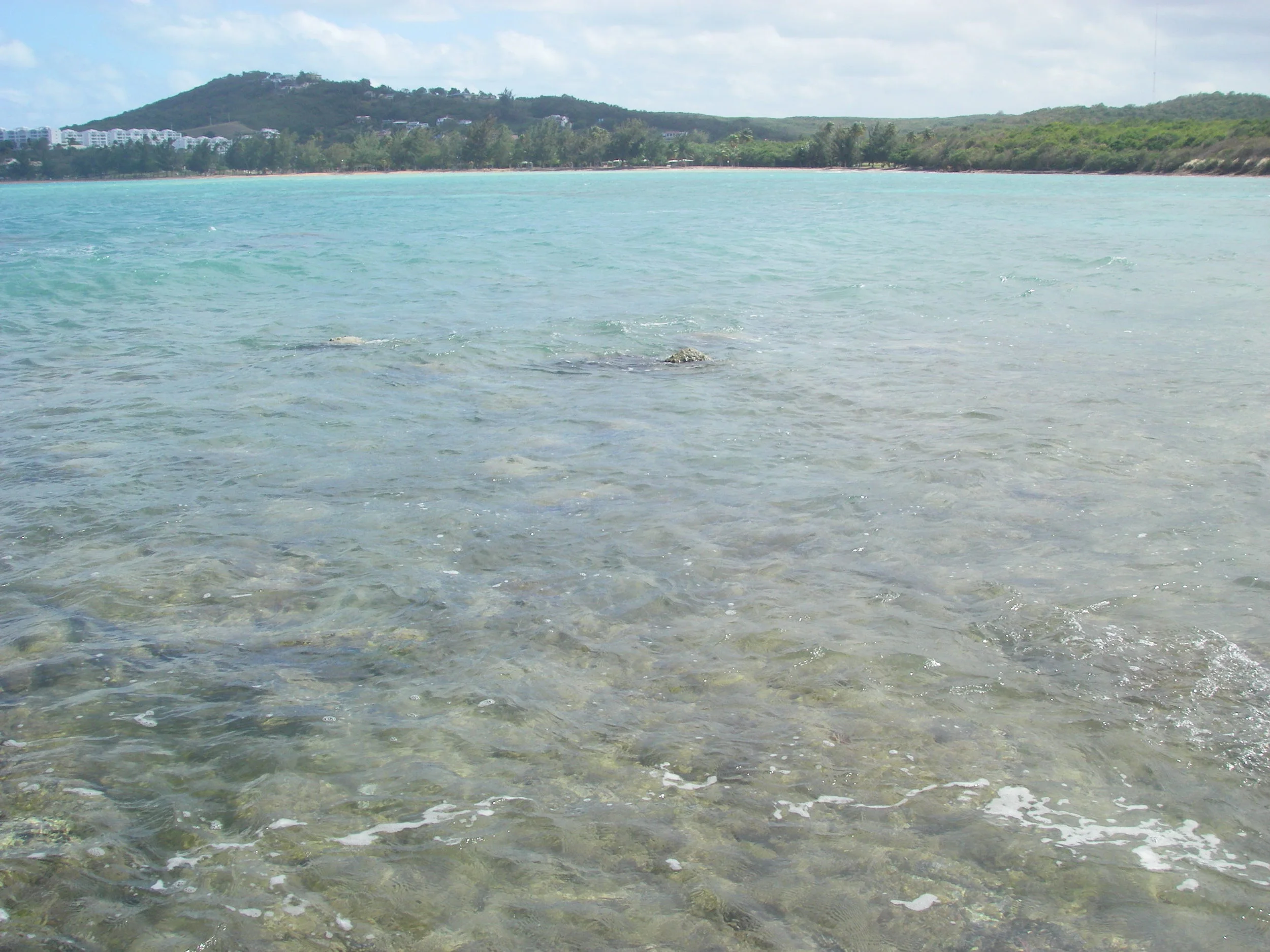 imgp0675.jpg