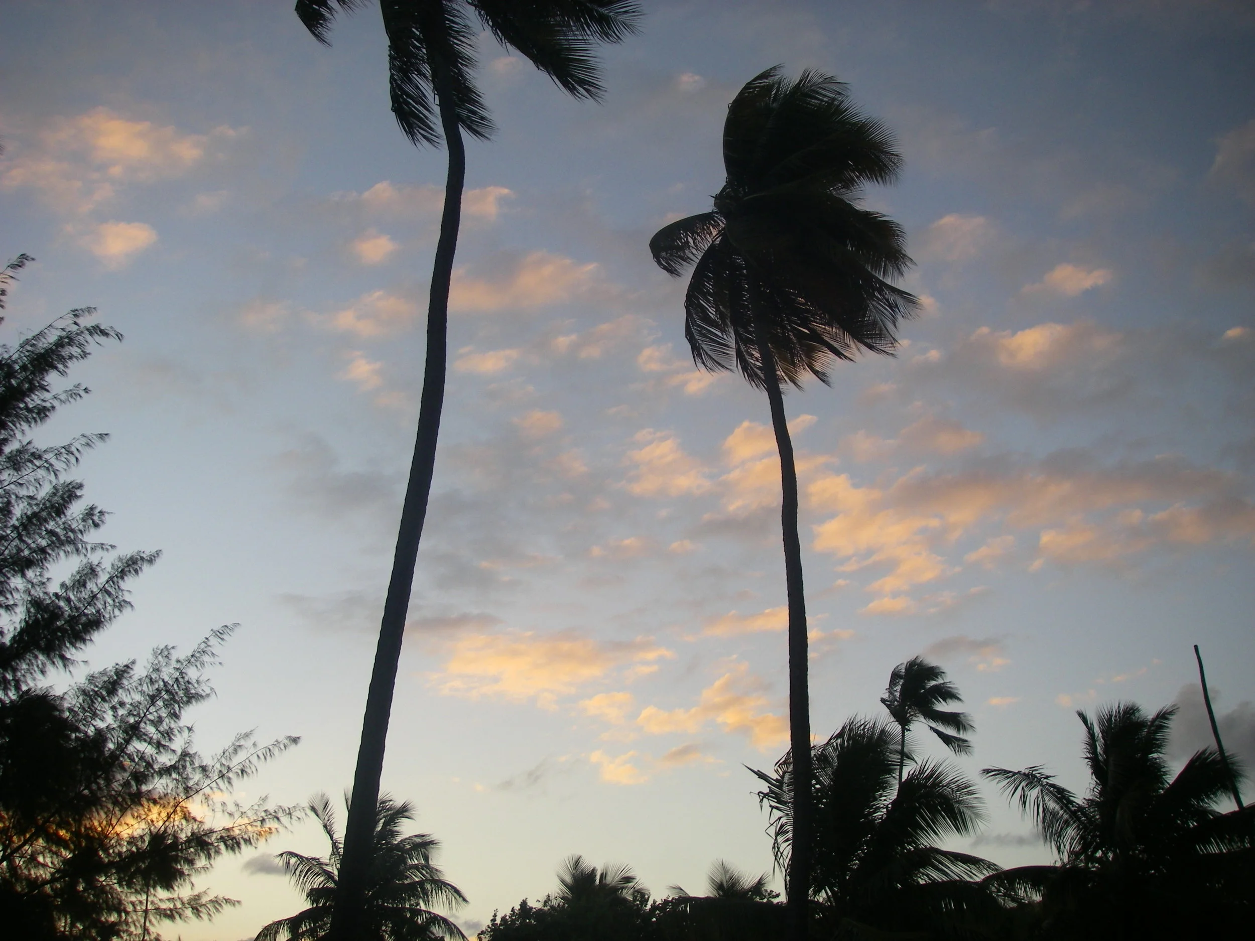 imgp0770.jpg