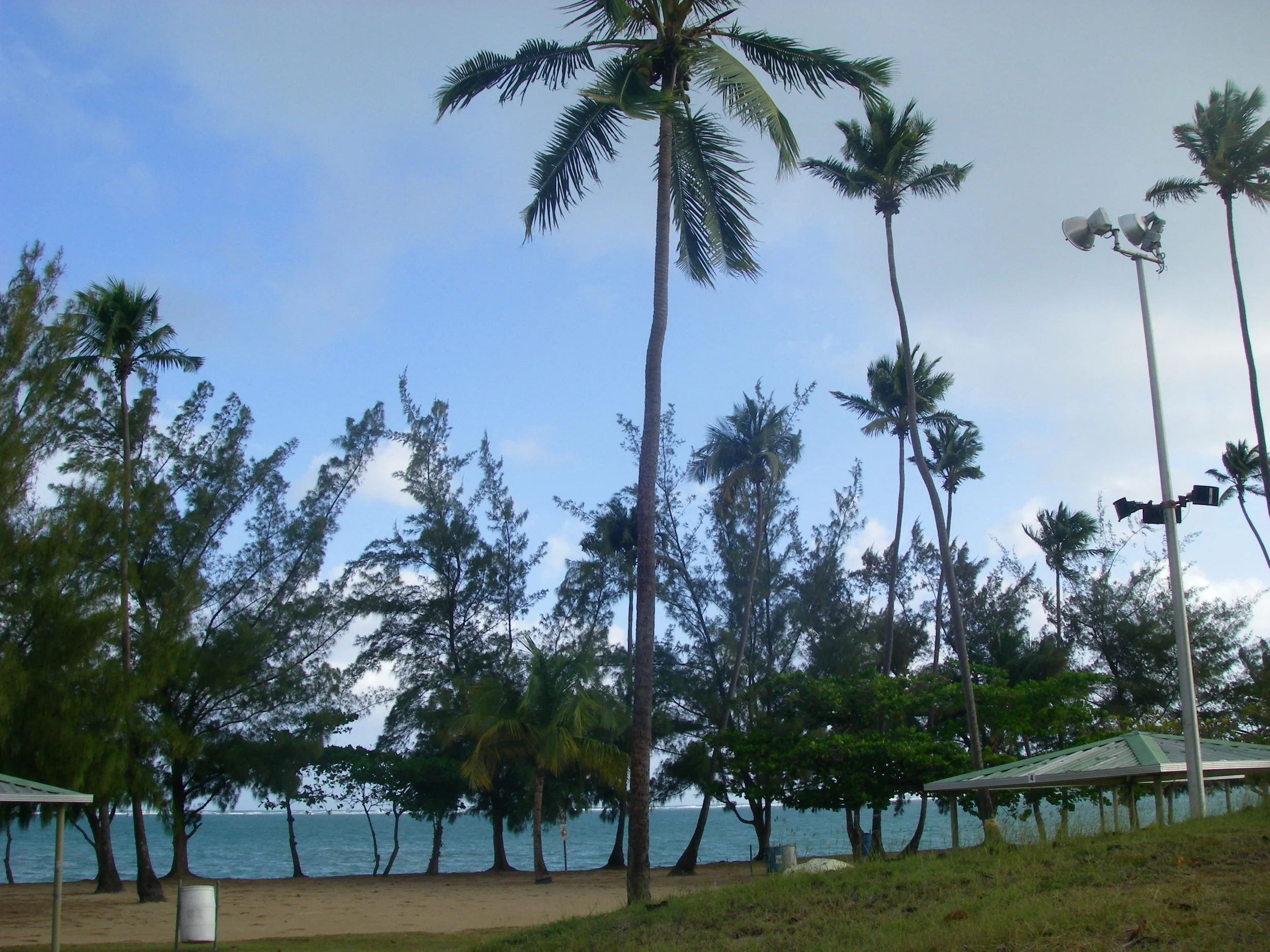 imgp0797.jpg