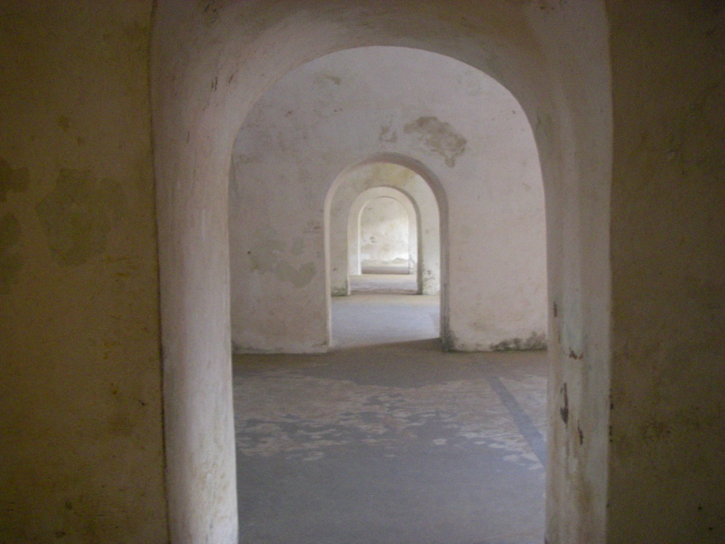 imgp0906.jpg