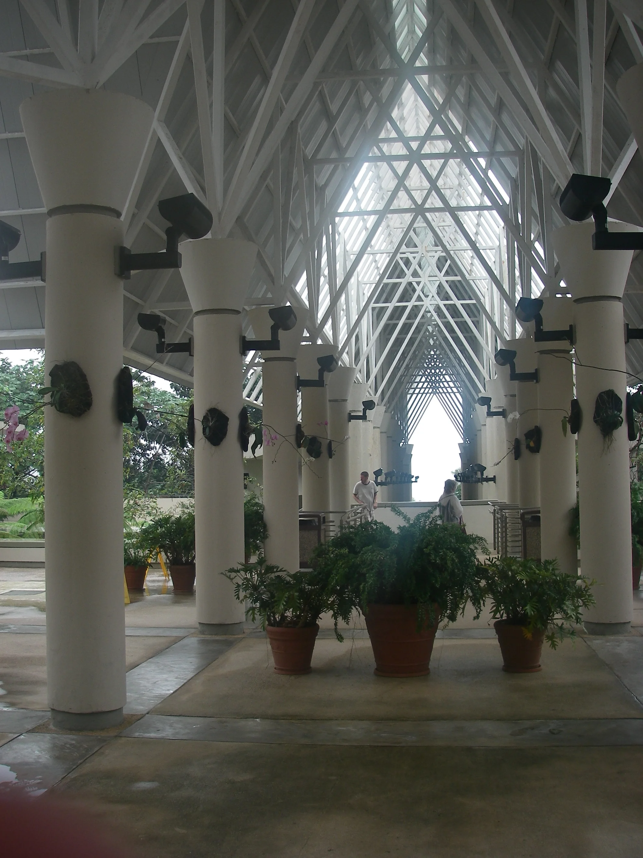 imgp5848.jpg