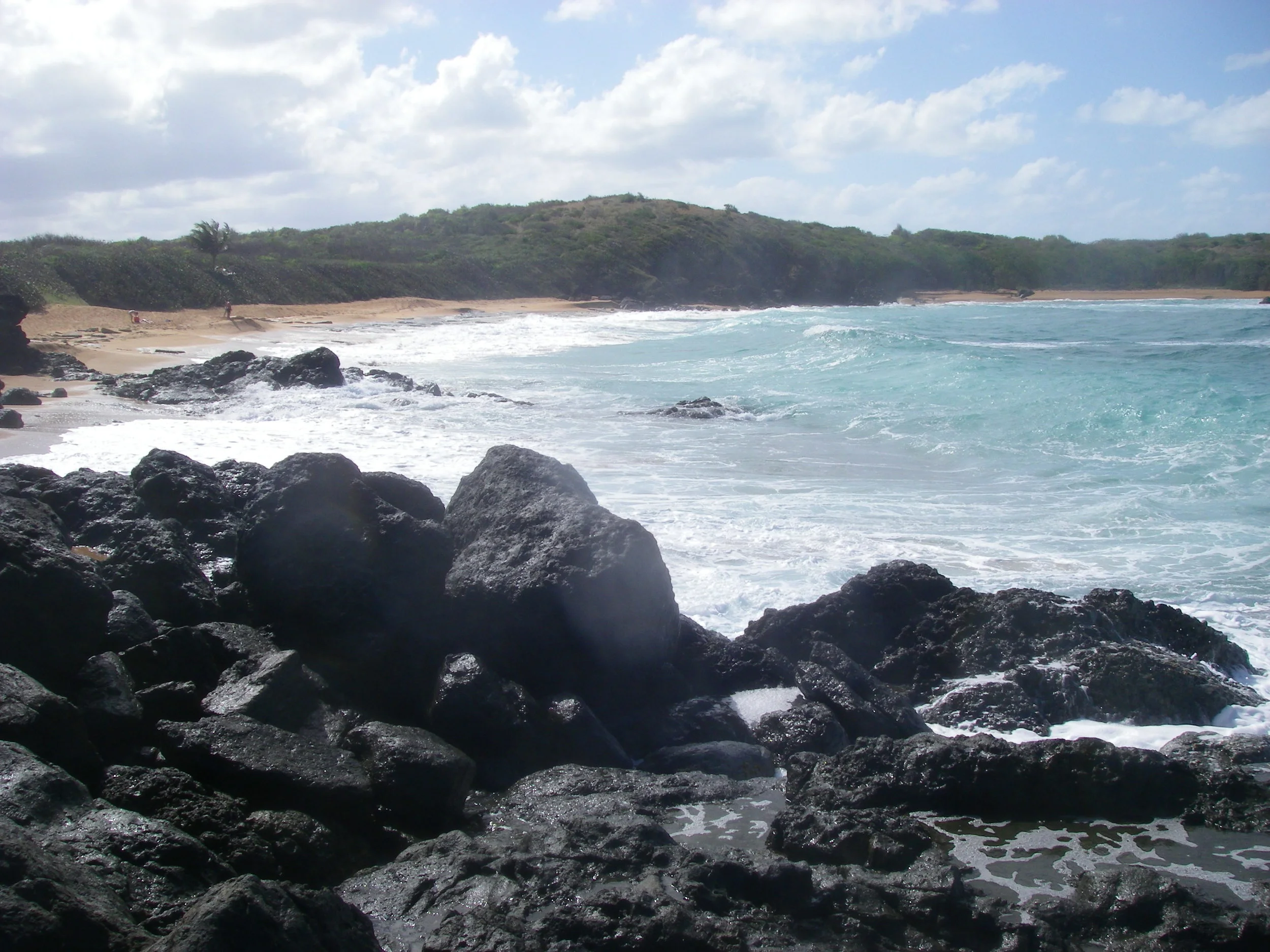 IMGP0706