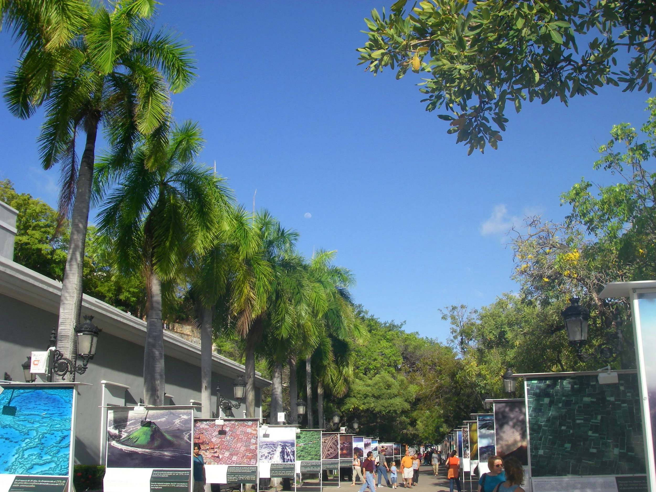 IMGP0867