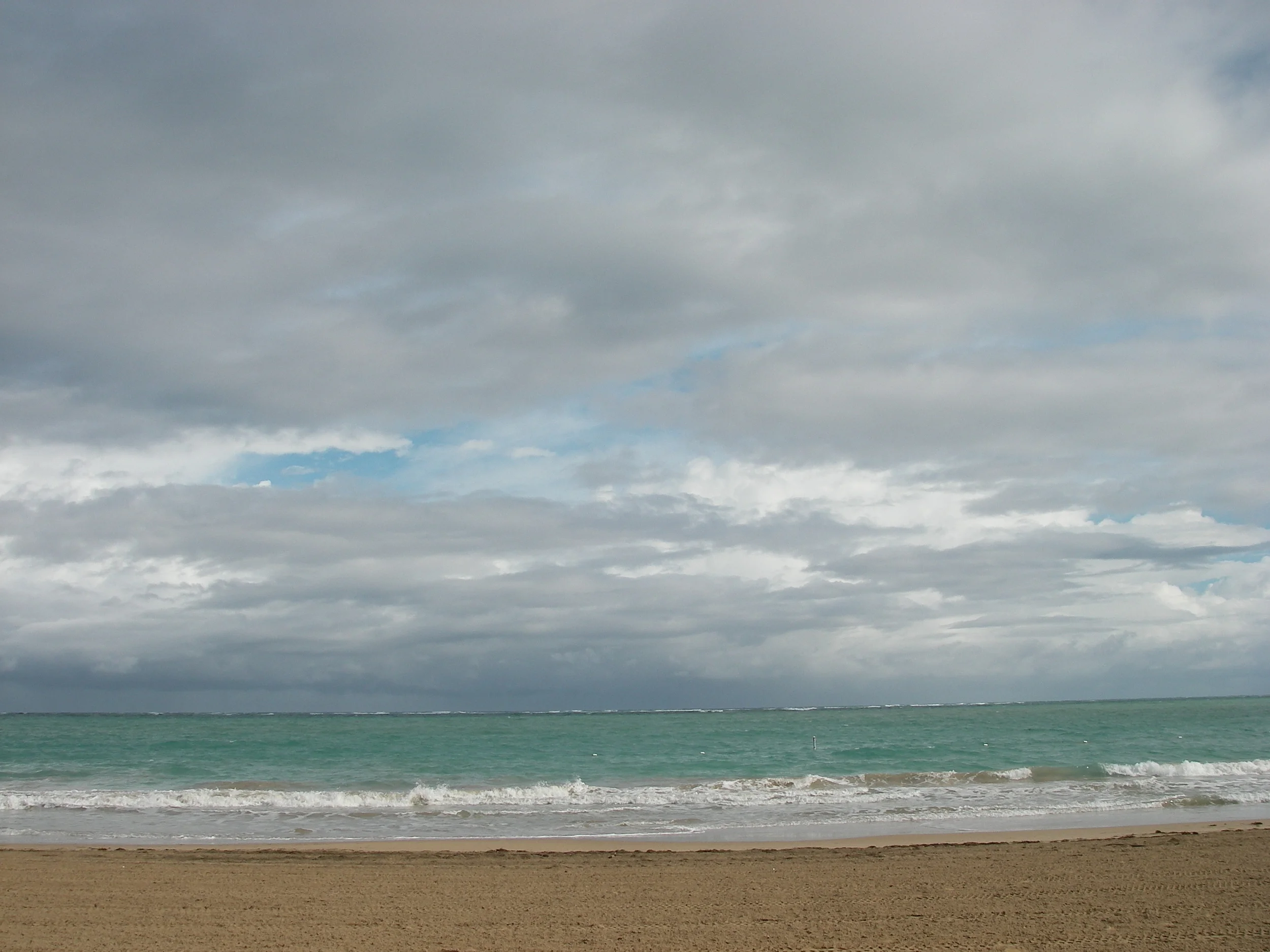 IMGP5817