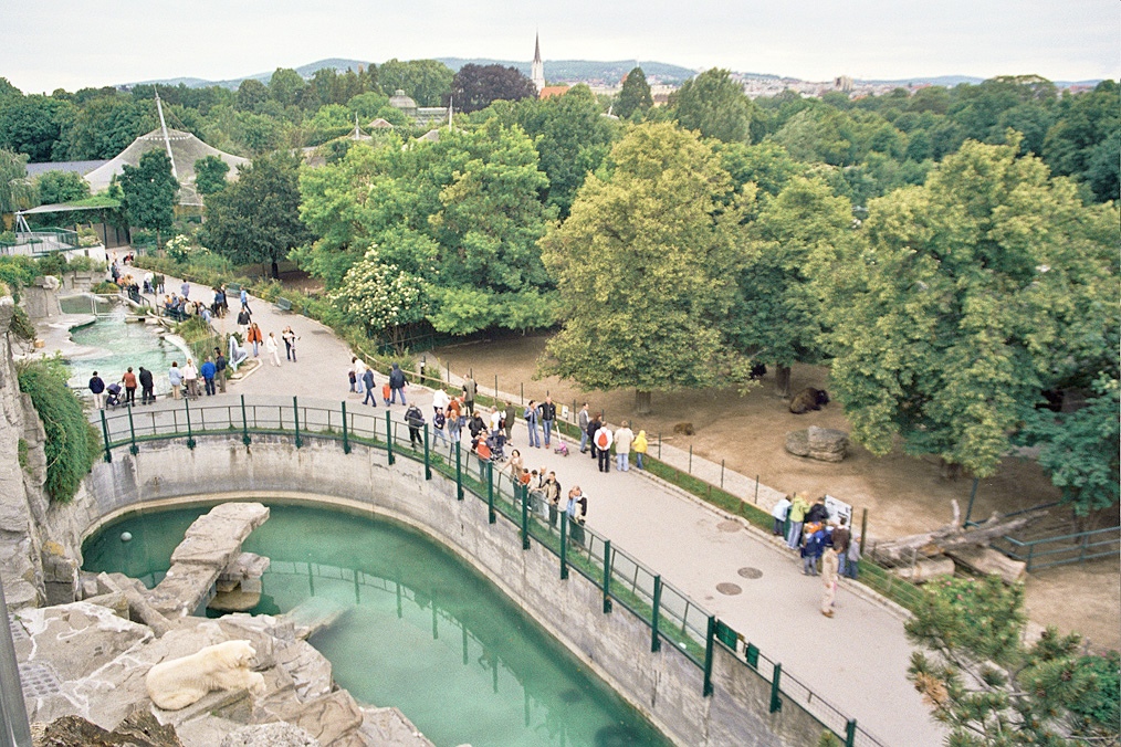Tiergarten Zoo.jpg