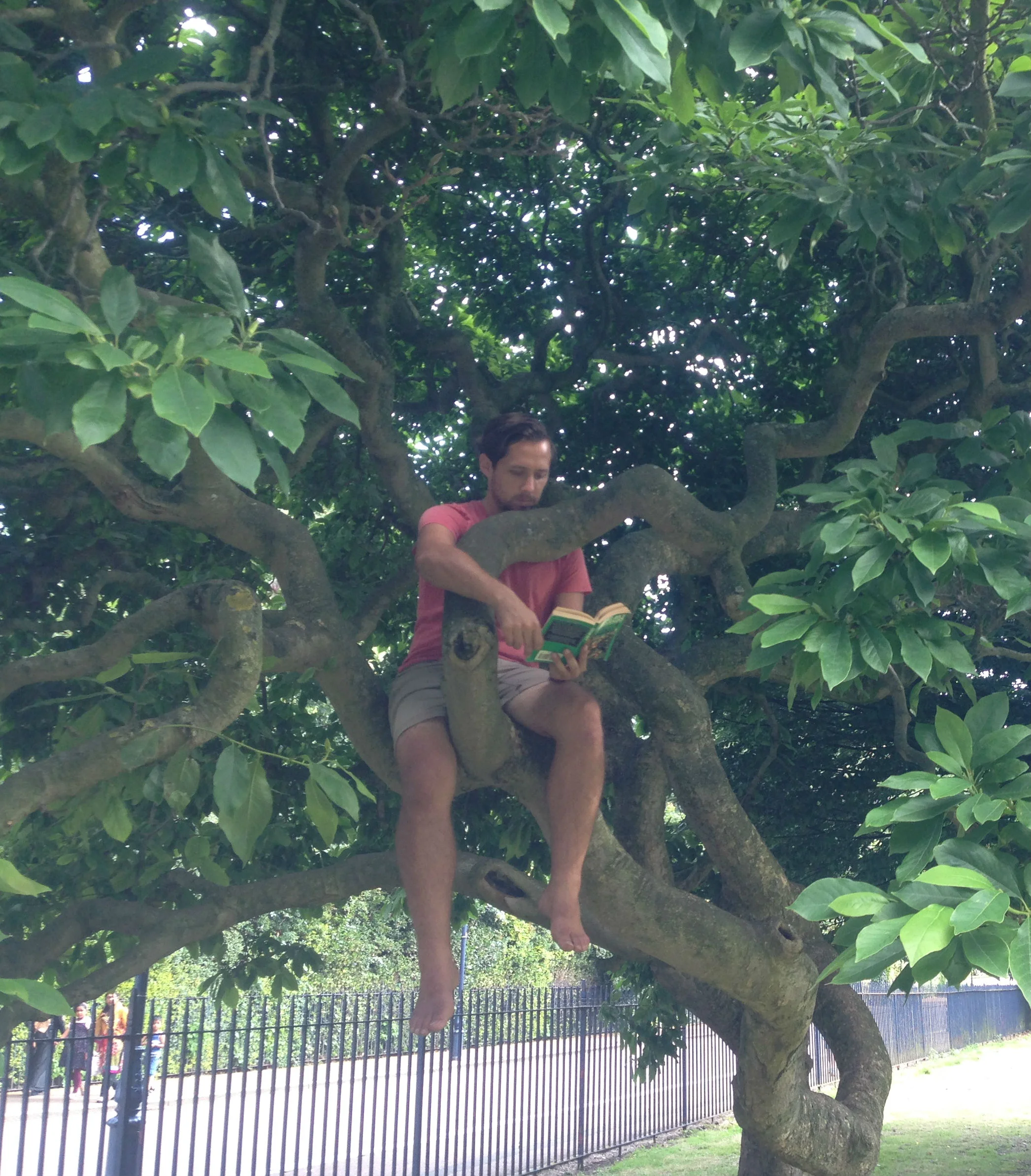 Tarzan 2.jpg