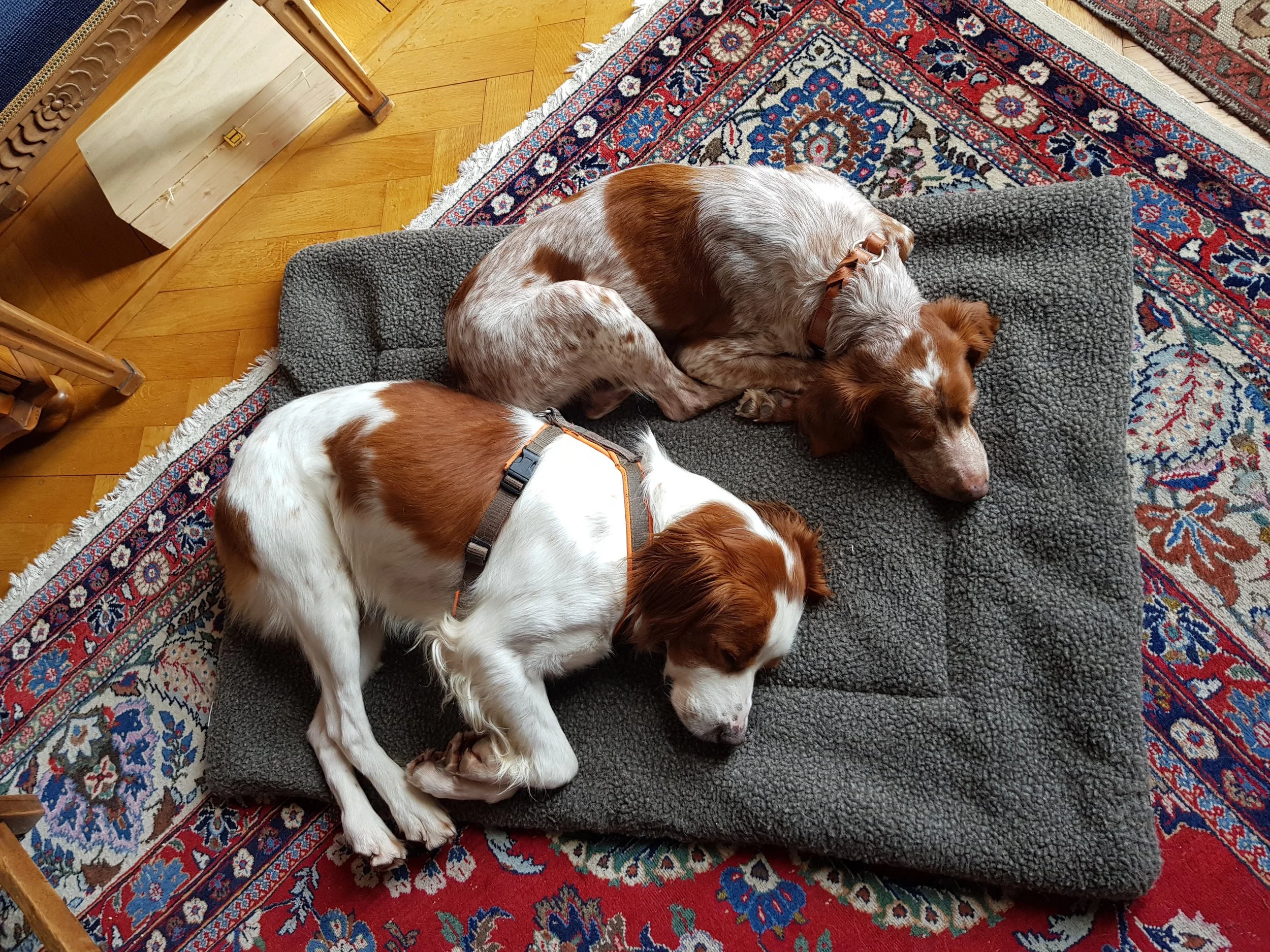 20180226_131118.jpg