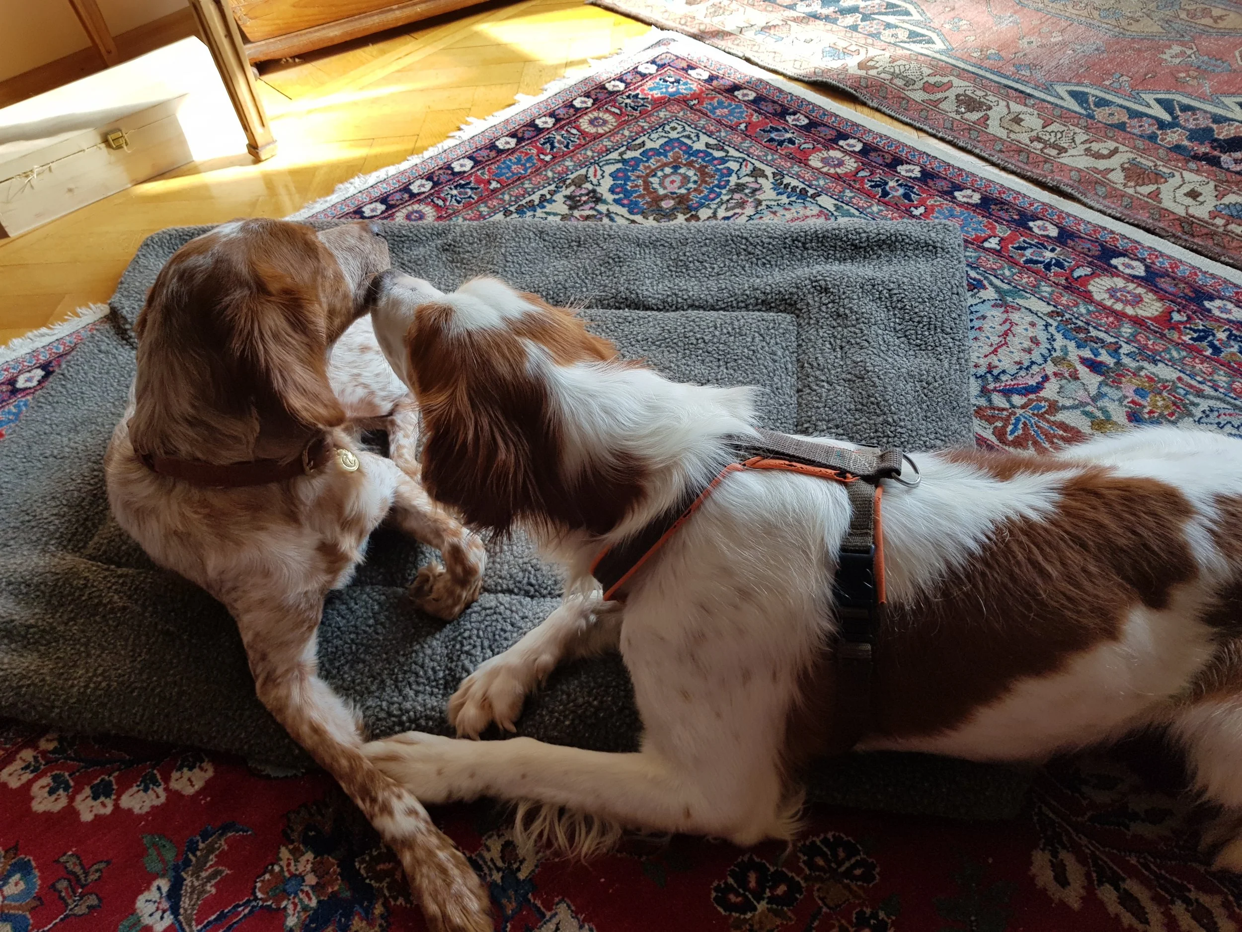20180226_132529.jpg