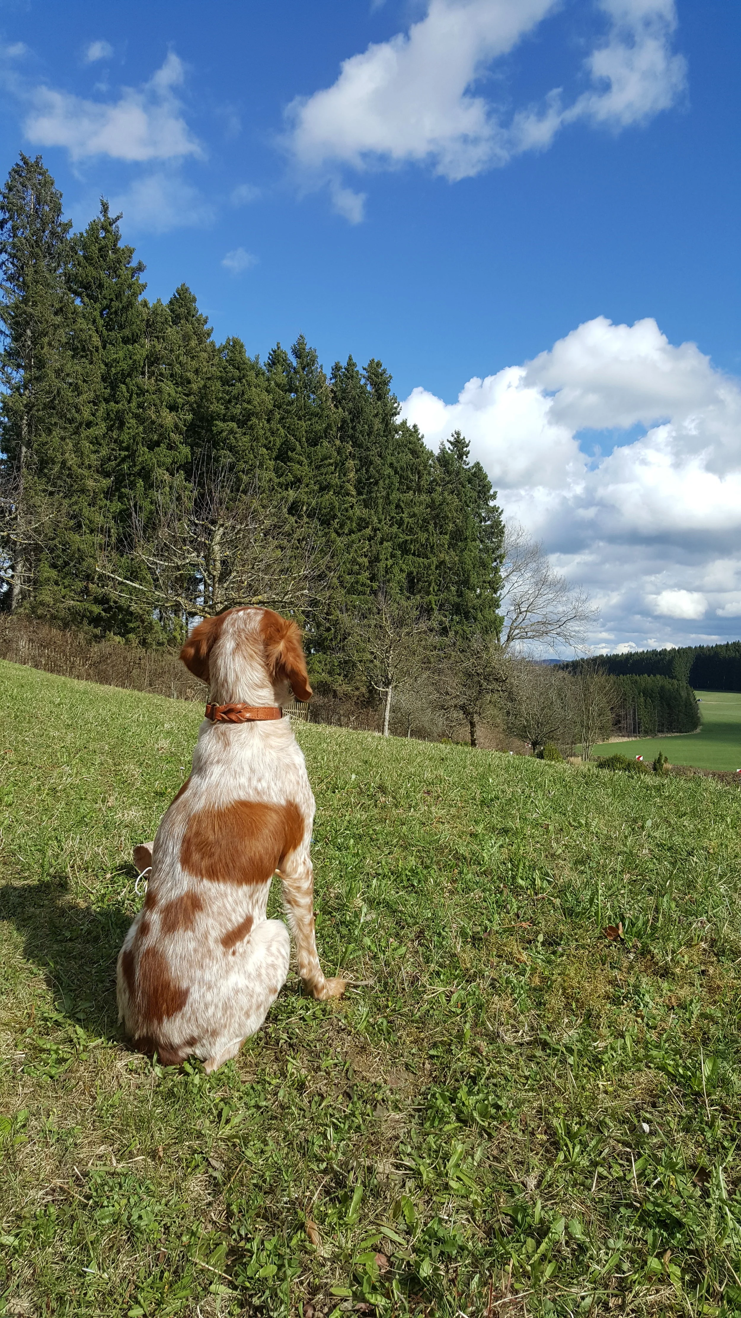20180405_161654.jpg