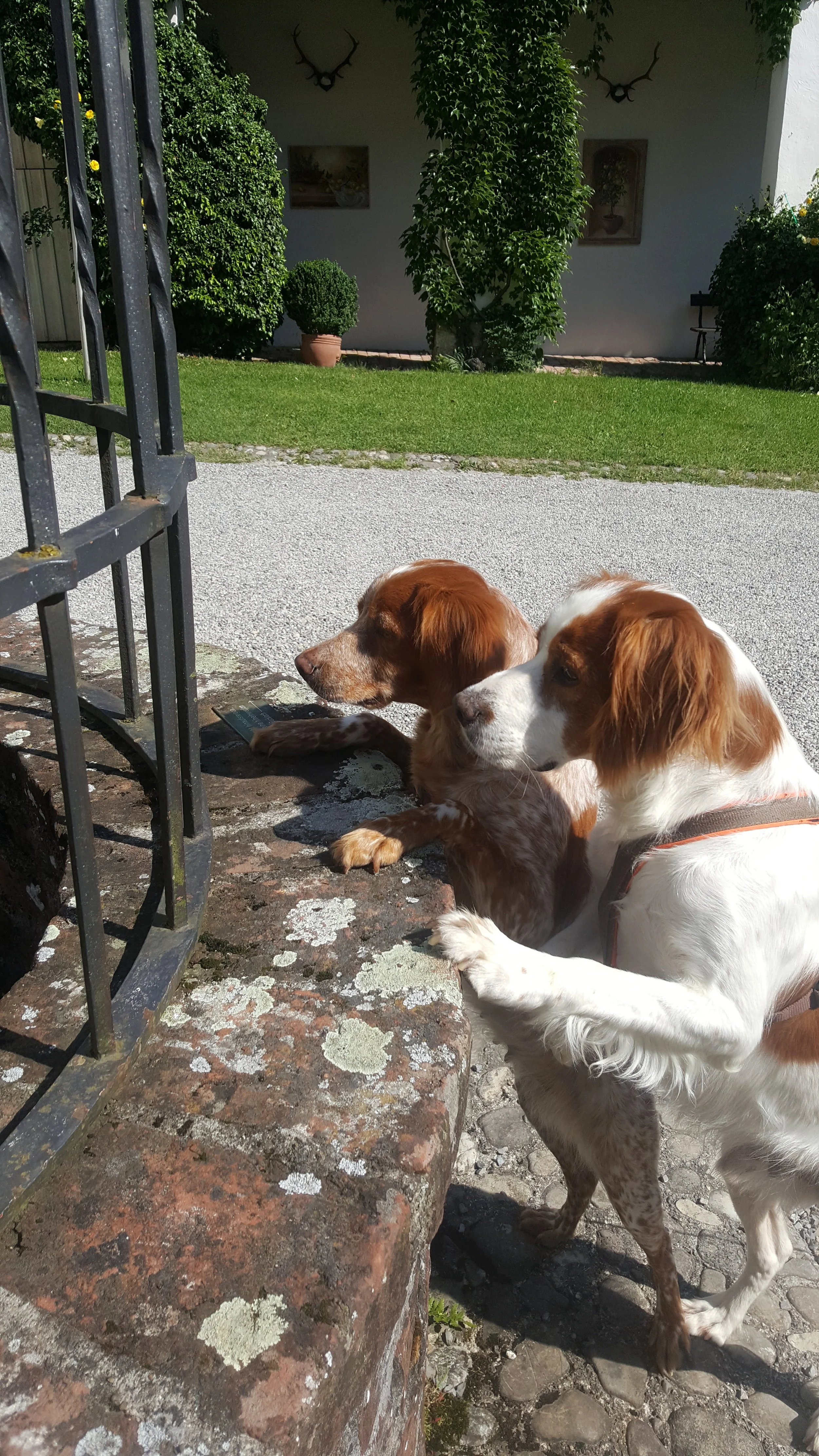 20180605_095244.jpg