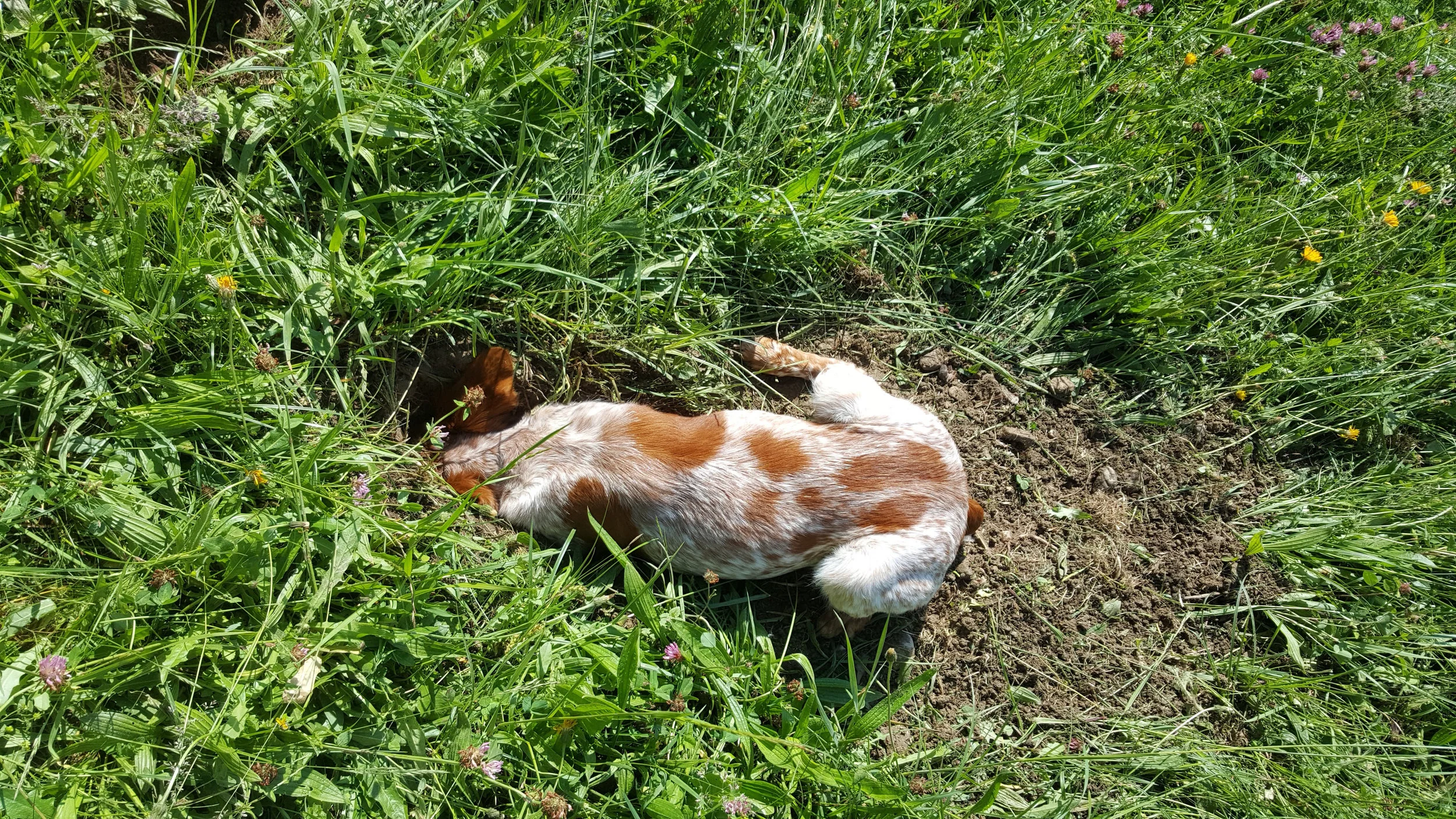 20180525_101201.jpg