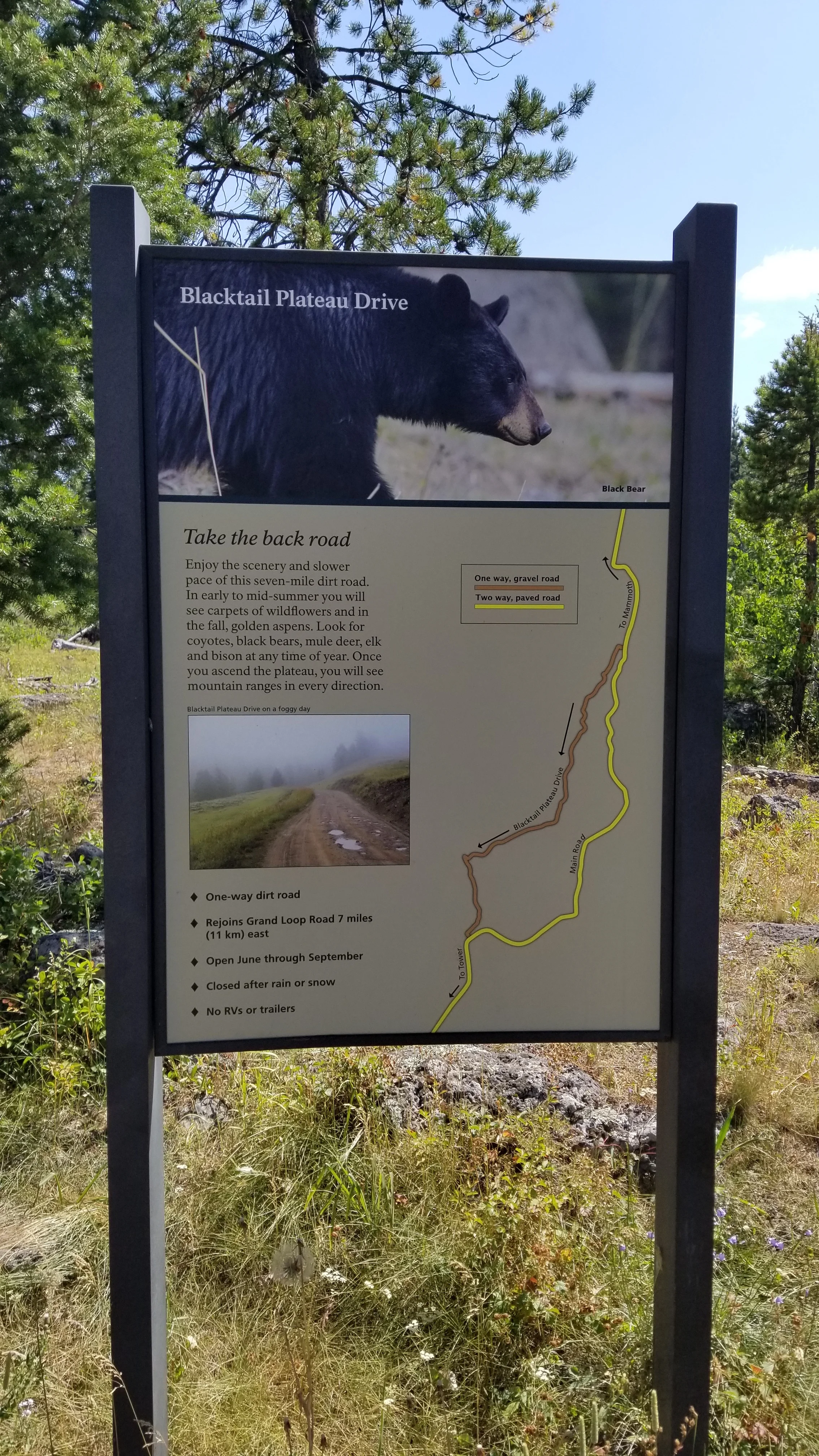 20180806_153019.jpg
