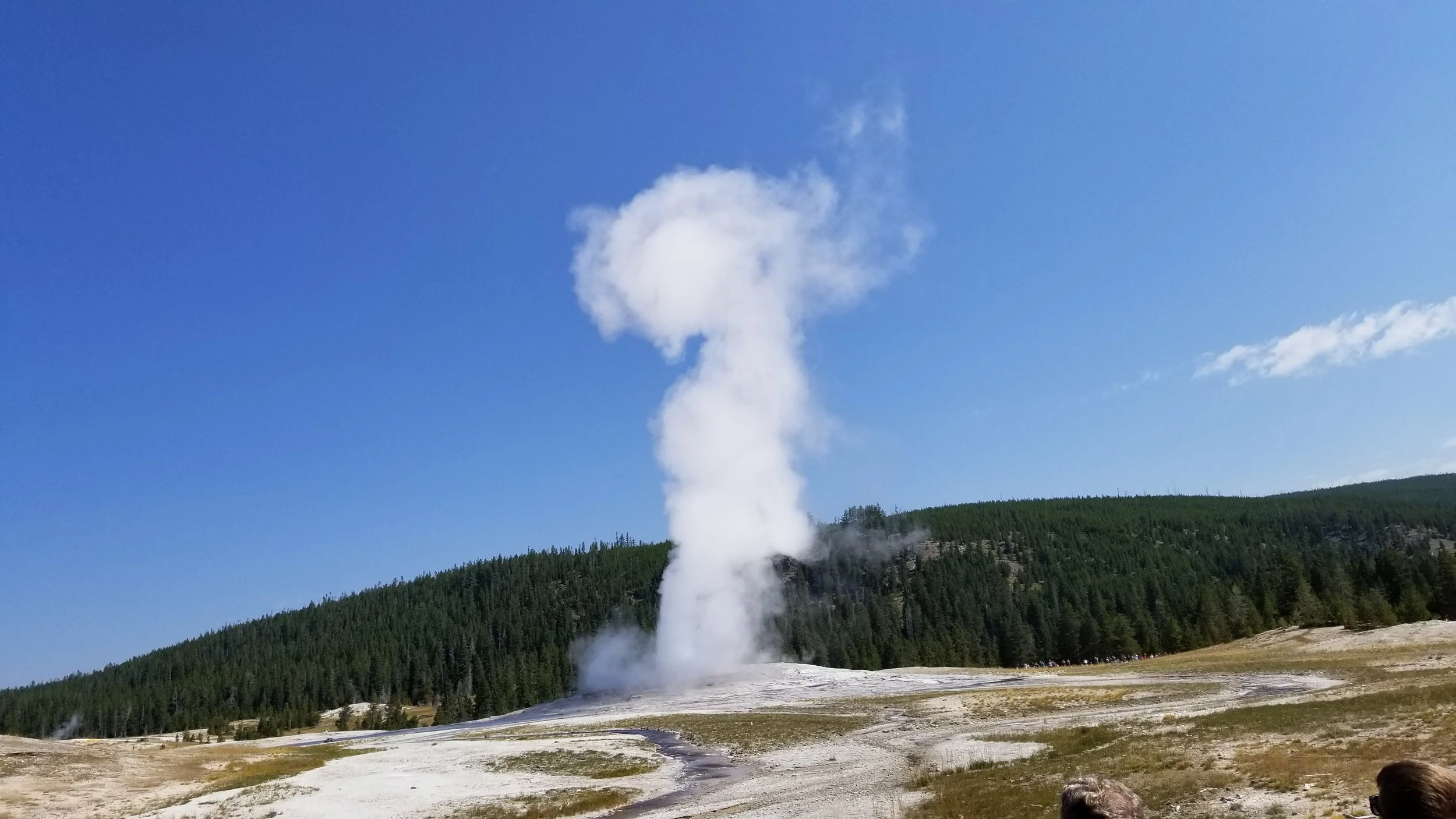 20180807_111224.jpg