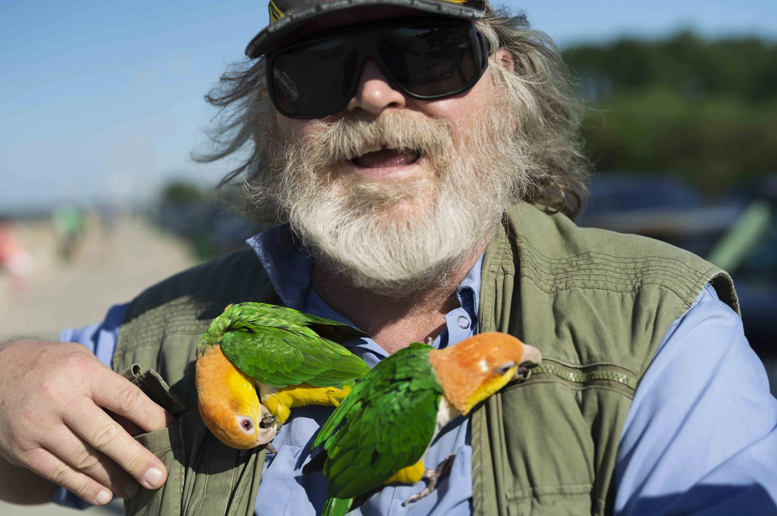 An elderly man with a white beard and sunglasses, smiling, holding three colorful parrots on his arm outdoors.