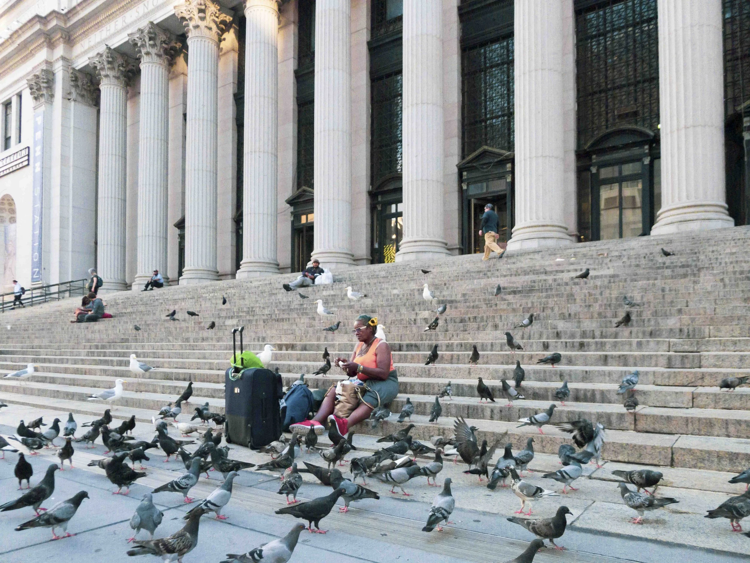 An elderly woman sits on stone steps outside a large building with tall white columns and large windows, feeding a large gaggle of pigeons.