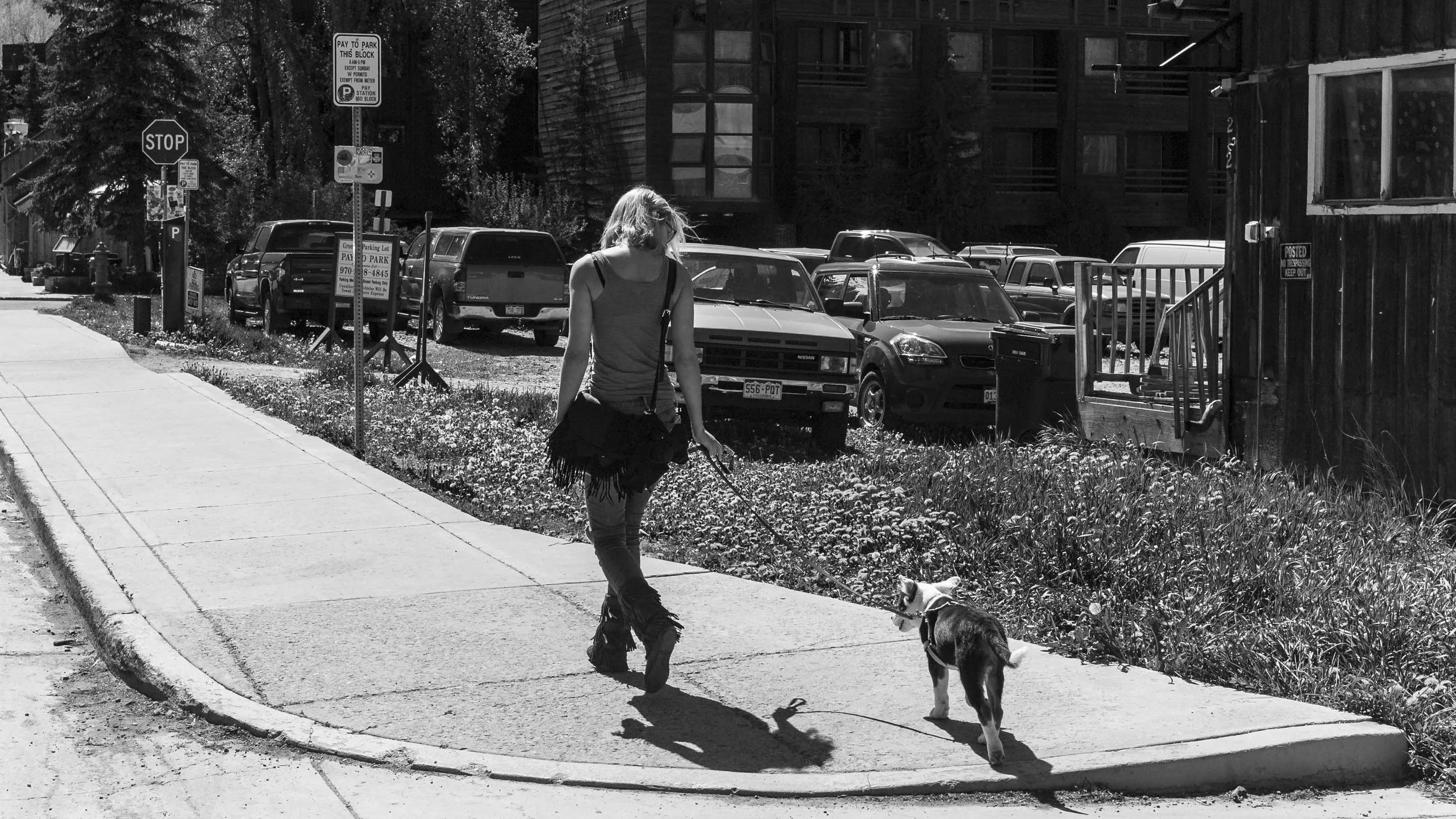 A woman walking her dog along a city sidewalk on a sunny day, with parked cars and residential buildings in the background.
