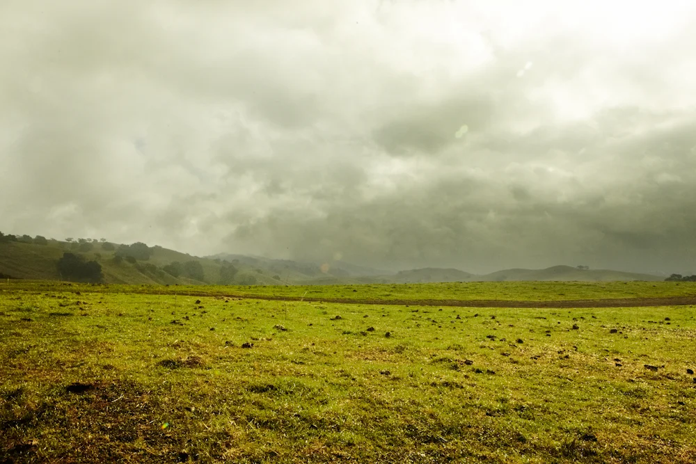 2009Nov27_1792 1 copy.jpg