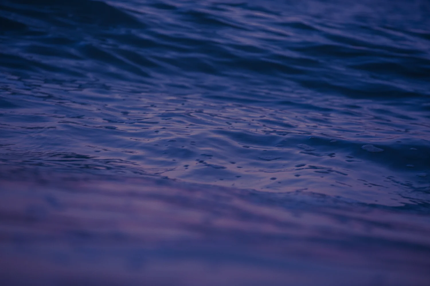 MonTauK_WB_7AudreyAmelie-0595.jpg