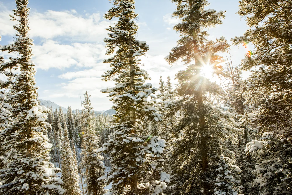 1212_COLORADO_00604.jpg