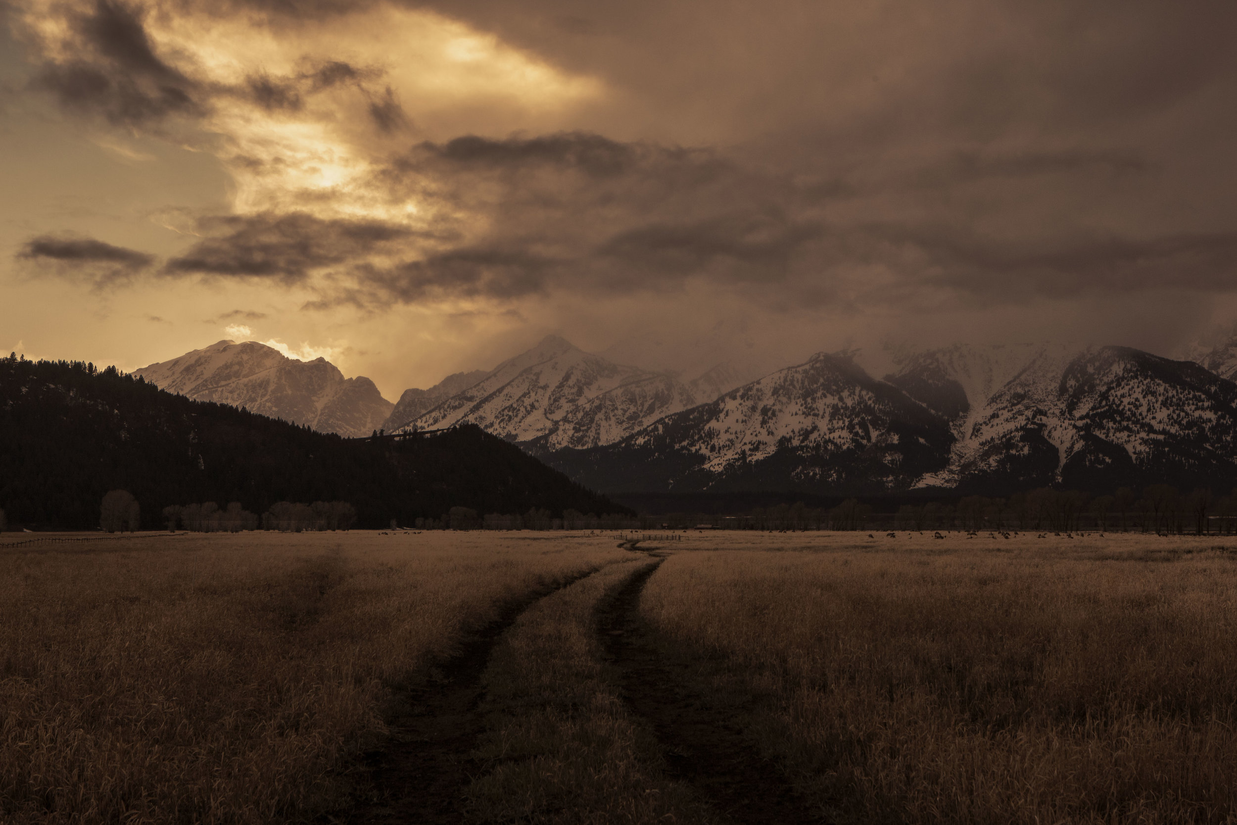 1305_JACKSONHOLE_00554.jpg