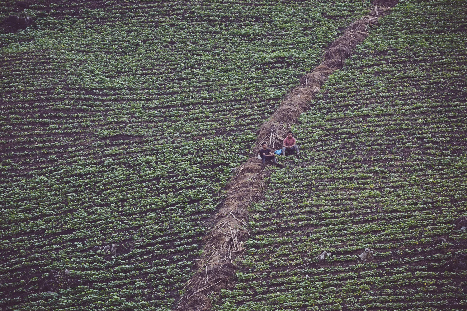 GUATEMALA_AudreyAmelie_CAPTURE_IMG_9397.jpg