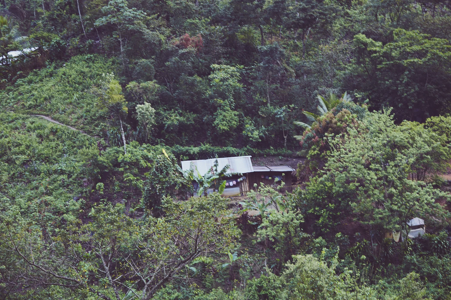 GUATEMALA_AudreyAmelie_CAPTURE_IMG_9444.jpg