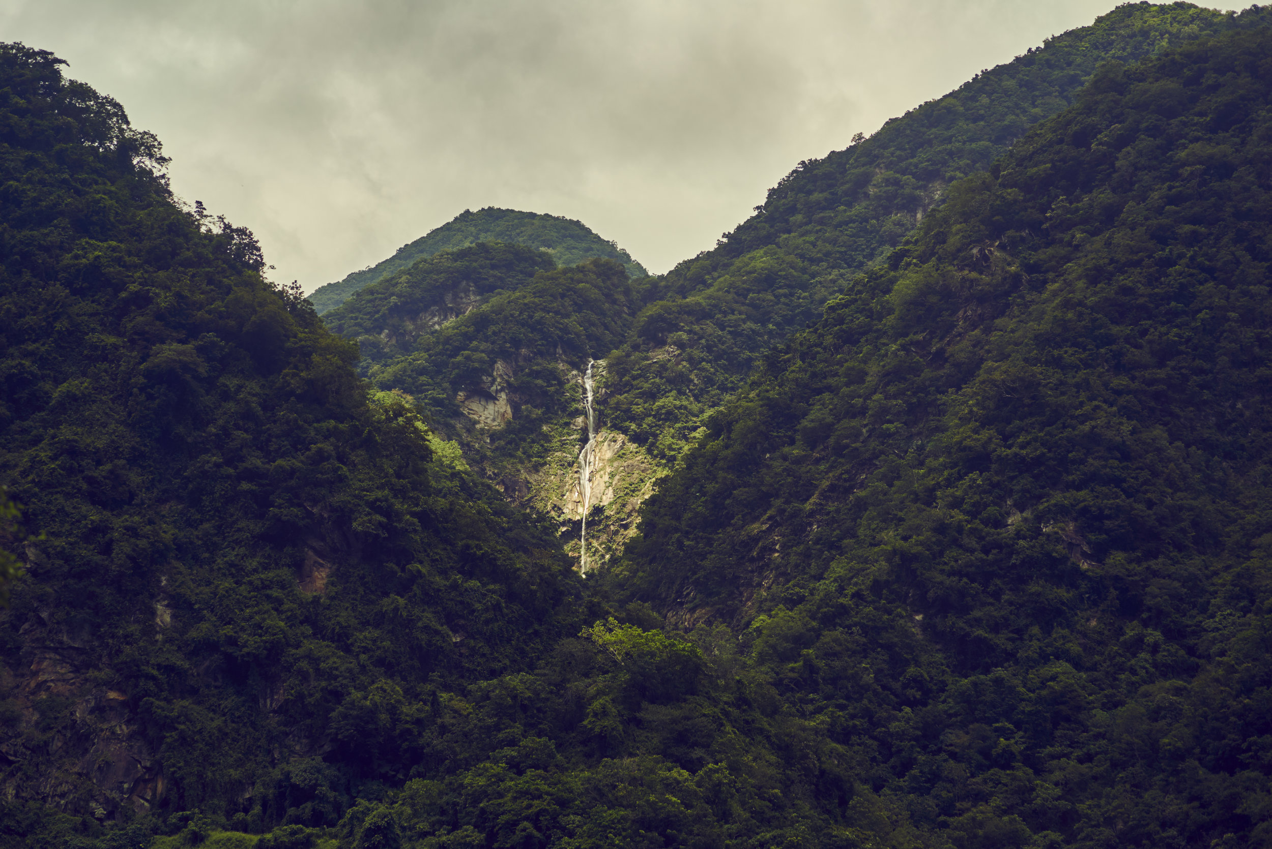 _DSC8951 1.jpg