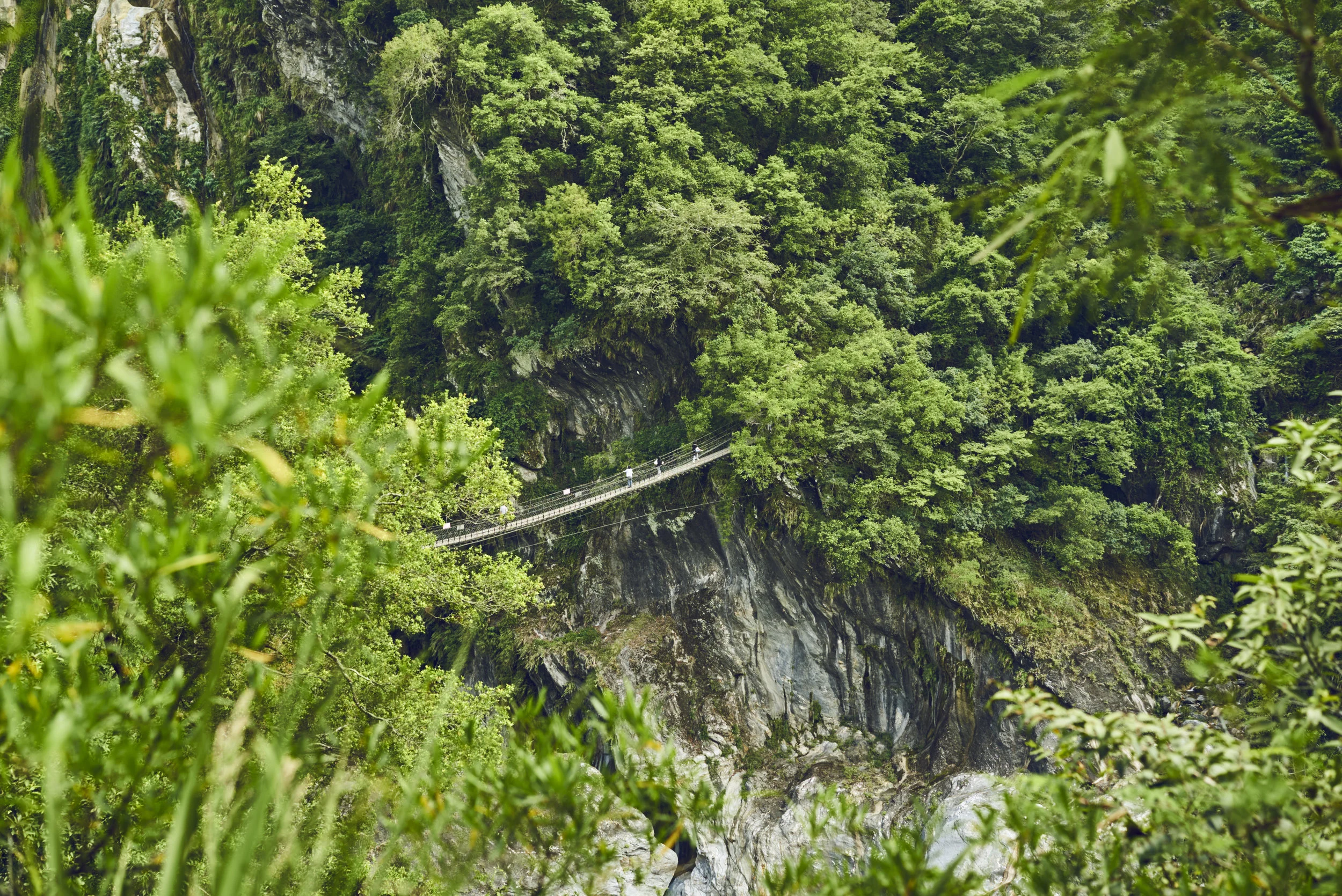_DSC9113.jpg