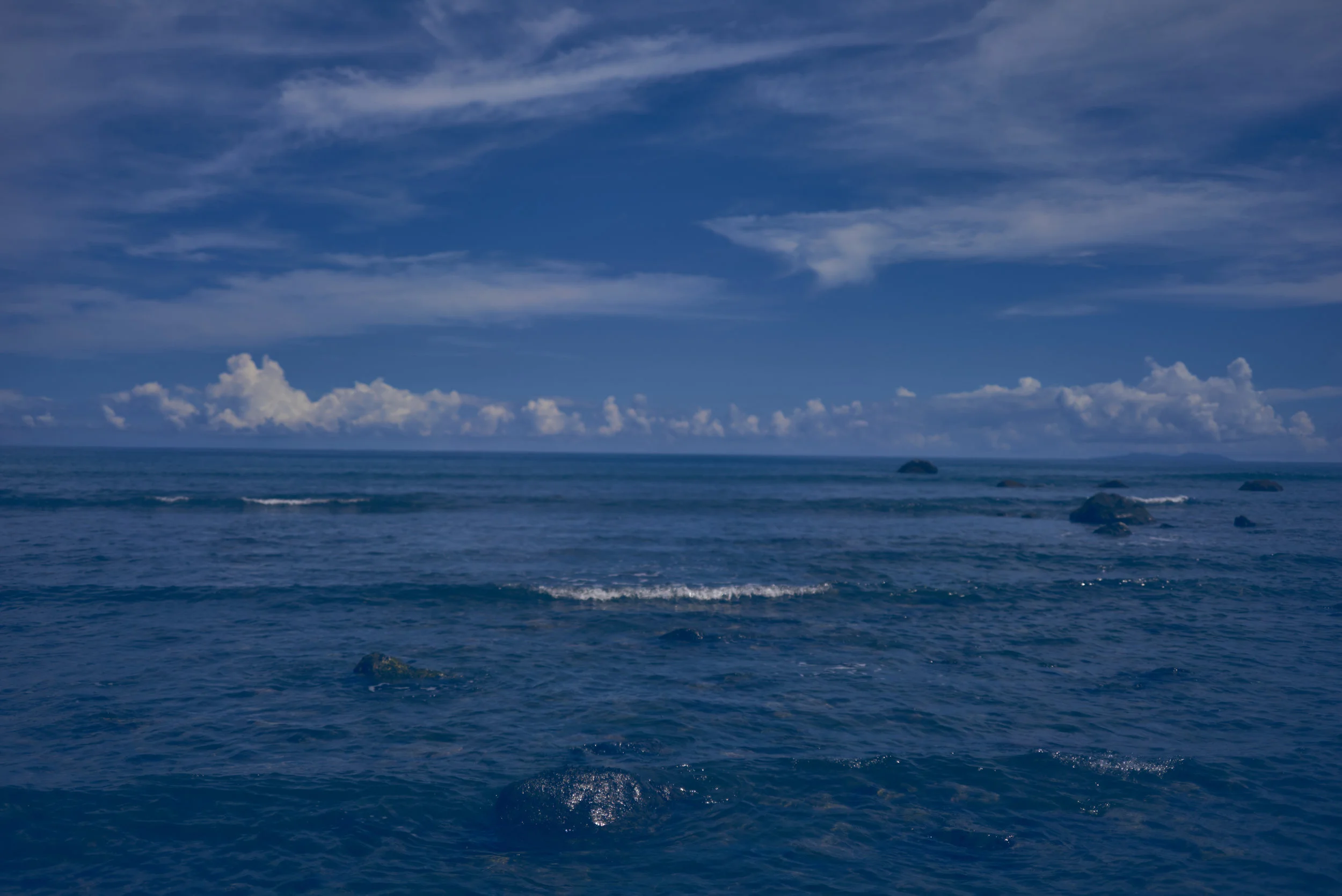 _DSC9602.jpg