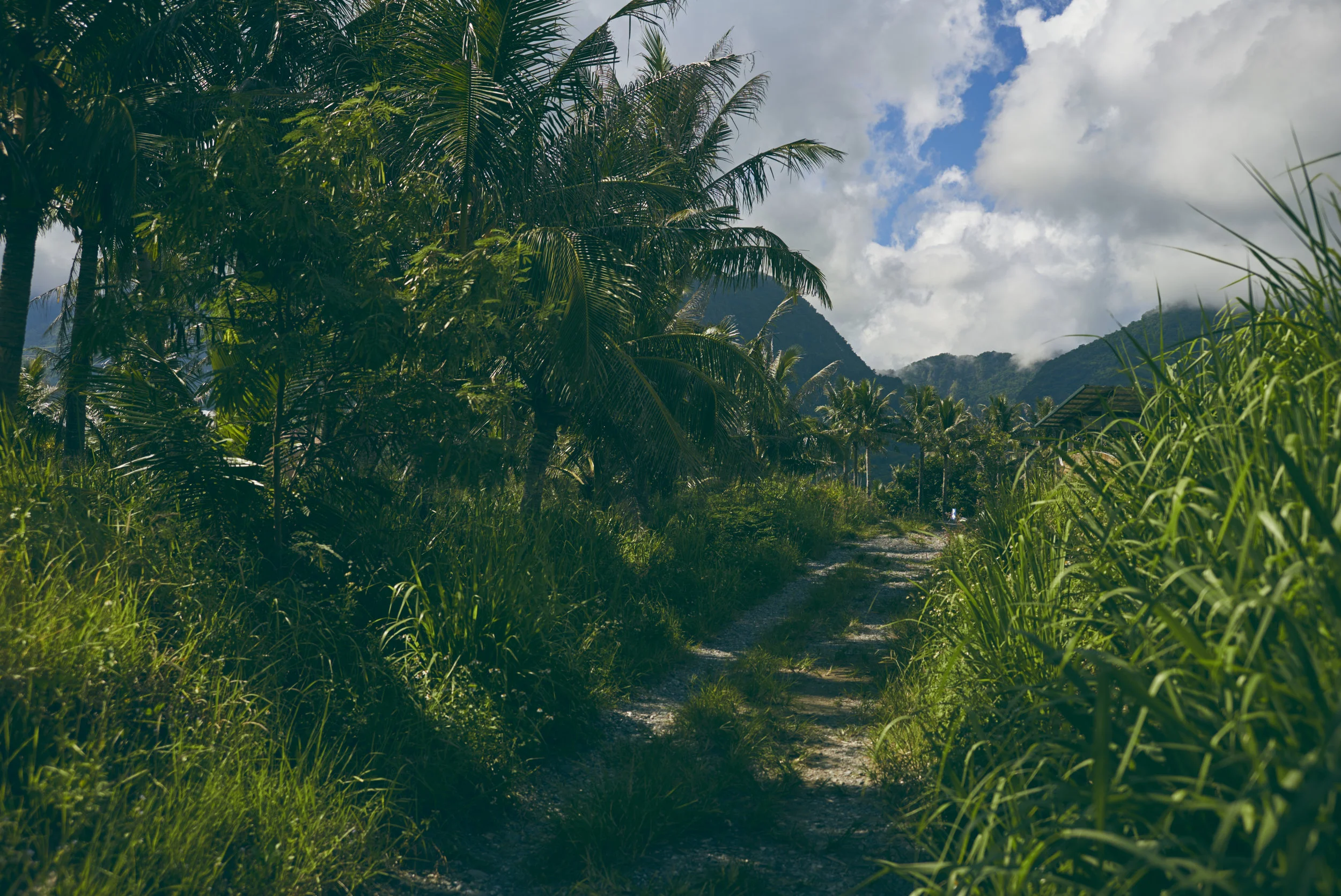 _DSC9650.jpg