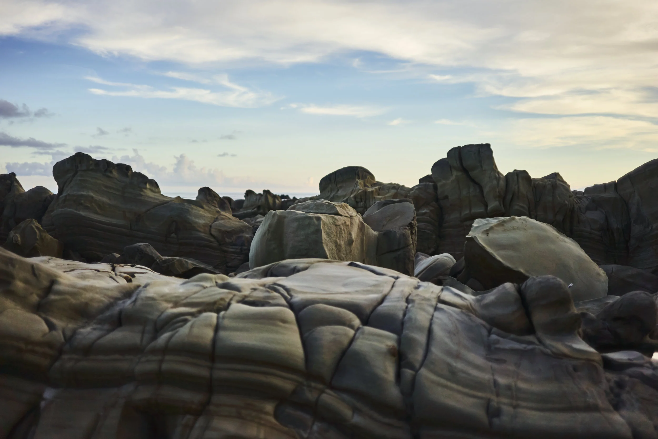 _DSC9821.jpg