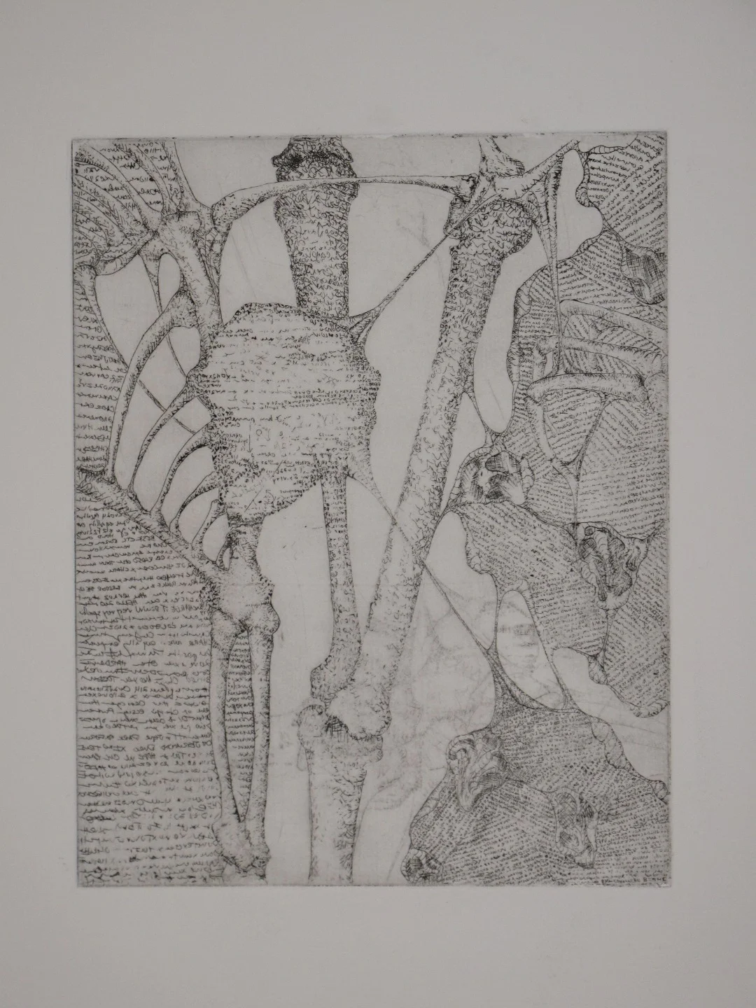 print2.jpg