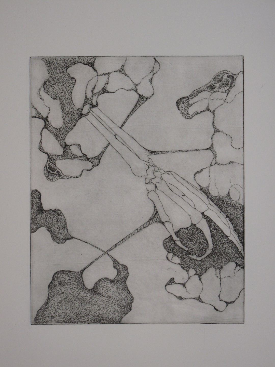 print4.jpg