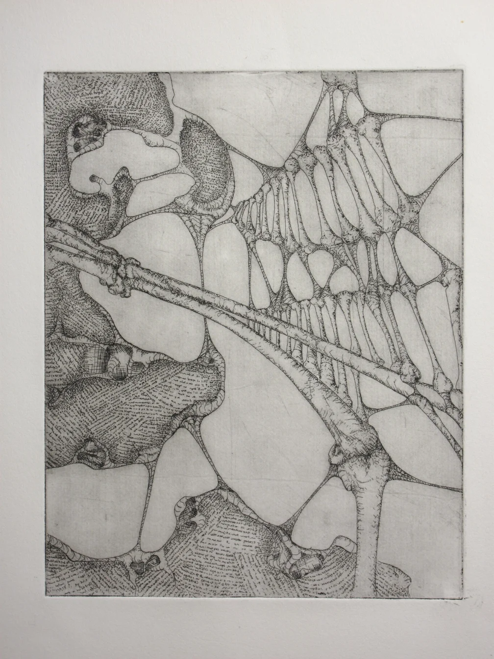Etching #7Scaled.JPG
