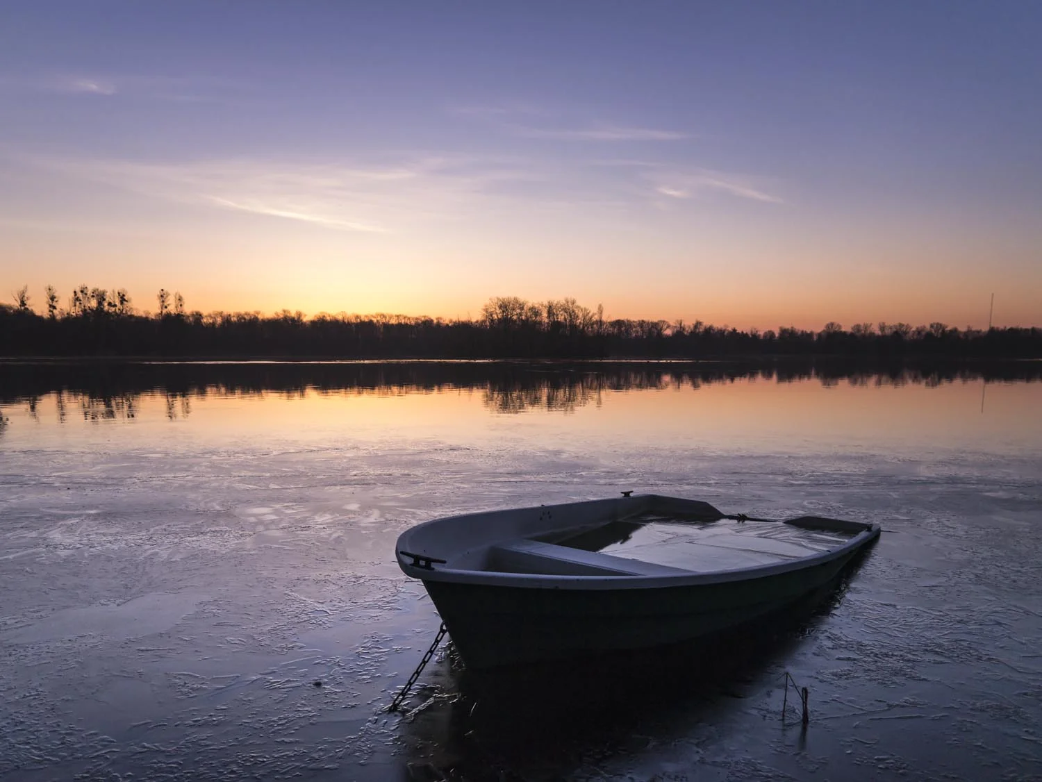See - 03 - 01.jpg