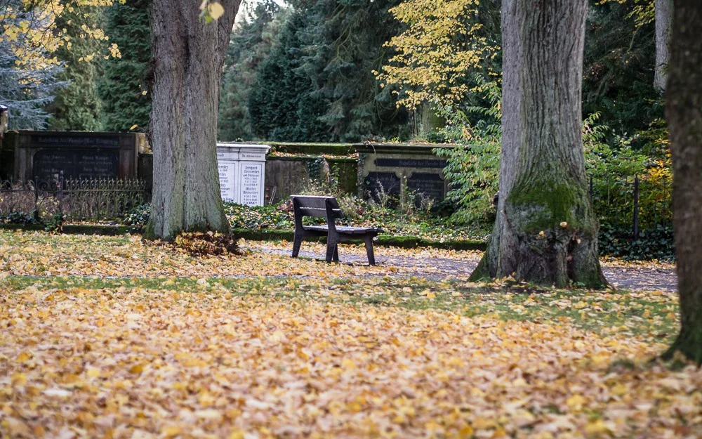 Herbst - 11.jpg