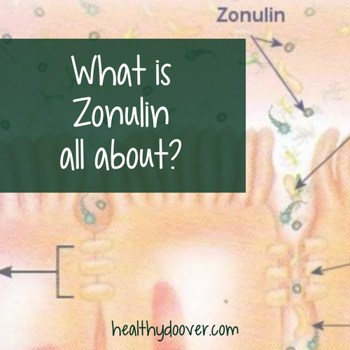 So what is Zonulin all about? — Healthy Do Over