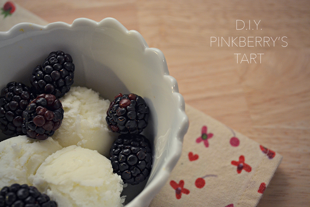 DIY_PINKBERRY_1