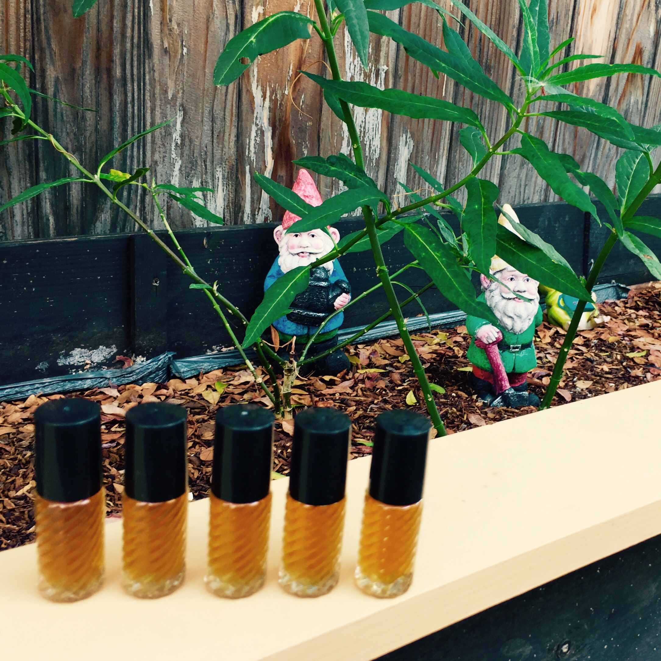 Receive a dram of Summer Solstice perfume when you book a reading with me!