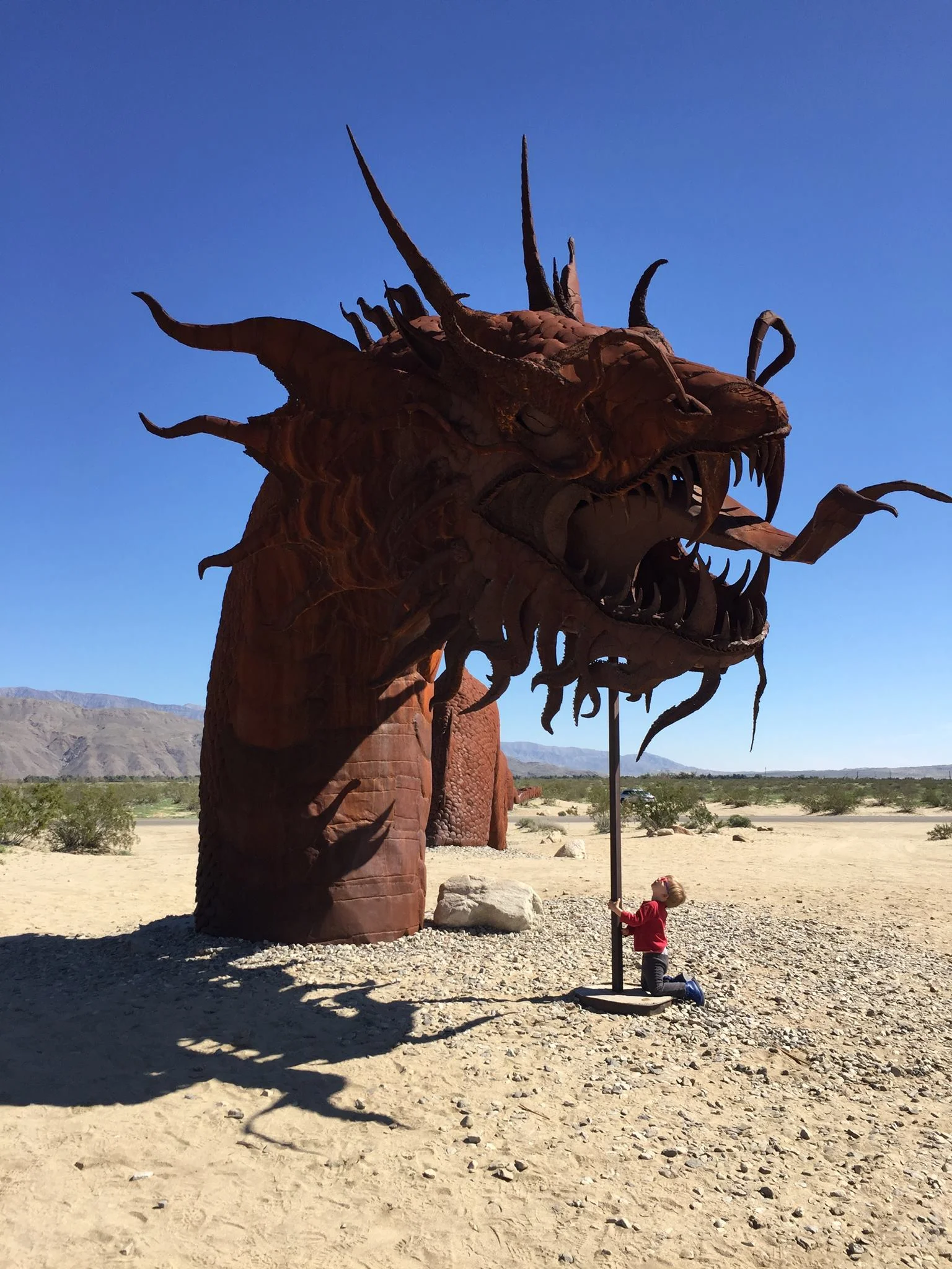 February: Chasing wildflowers with my family in a record rainy Winter in the Anza-Borrego Desert ... 