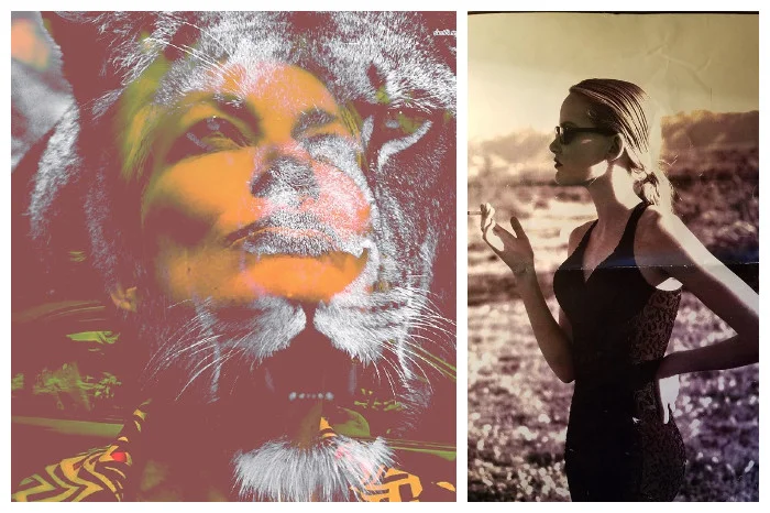 The Astrology of Beauty and Shame: A Conversation with Veruschka Normandeau 