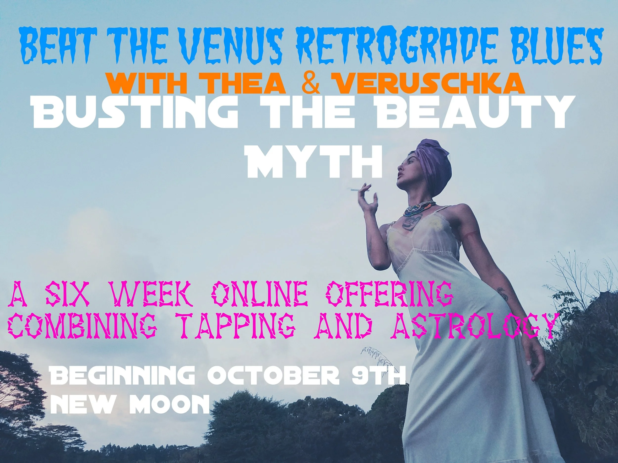 V and T flier.jpg