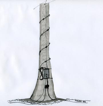 JLSTreeBaseSketchsm.jpg